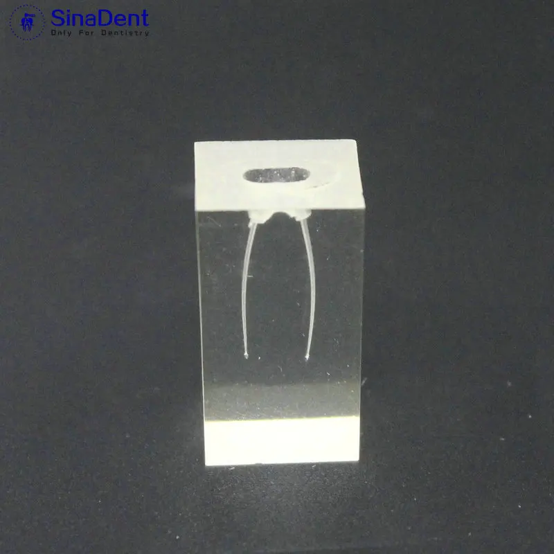 1 шт. Стоматологическая модель тренировочный блок для эндонтических корневых