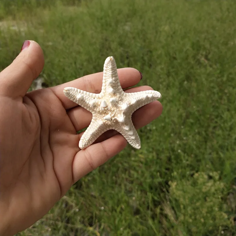 Домашний декор, 3 шт., белая Морская звезда, 3-8 см, белый натуральный палец, Морская звезда, Свадебный декор, морские ракушки, вечерние, бежевые, морская звезда, ремесла