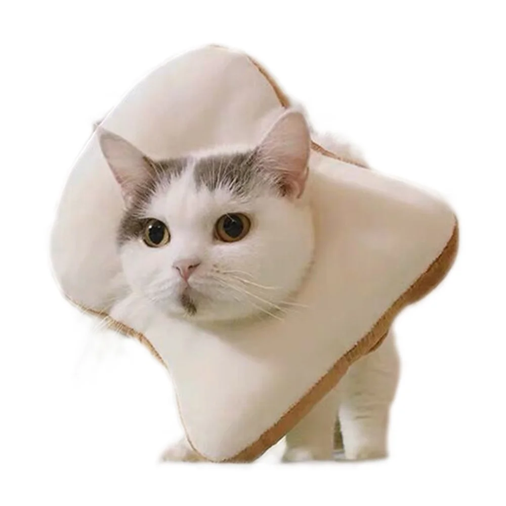 Аксессуары для домашних животных ошейник кошек персонализированный