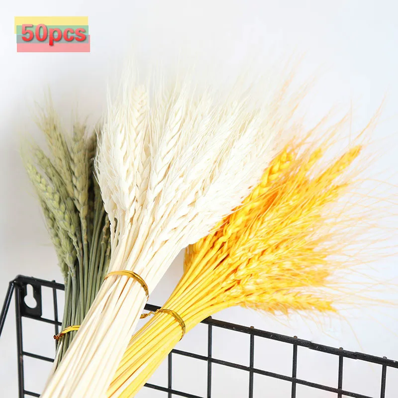 

50pcs Real Wheat Ear Flower Decoration Natural Pampas Rabbit Tail Grass Dried Flowers For Wedding Party DIY Craft Scrapbook Bouq