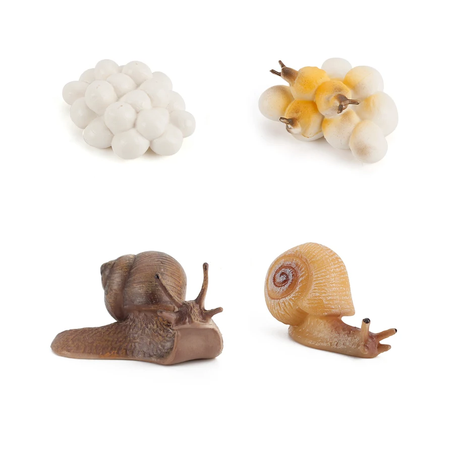 

Simulation Animals Growth Cycle Butterfly,Ladybug,Frog Life Loop Figurine Plastic Models Action Figures Educational Kids Toy