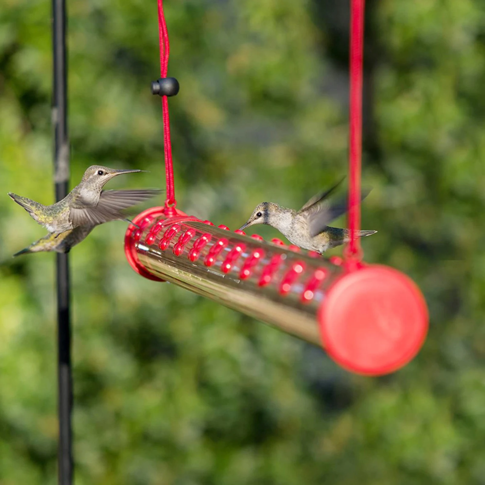 

Hummingbird Feeder with Hole Feeding Hose Easy to Use Hanging Long Tube Feeder is the Best Gardening Tool