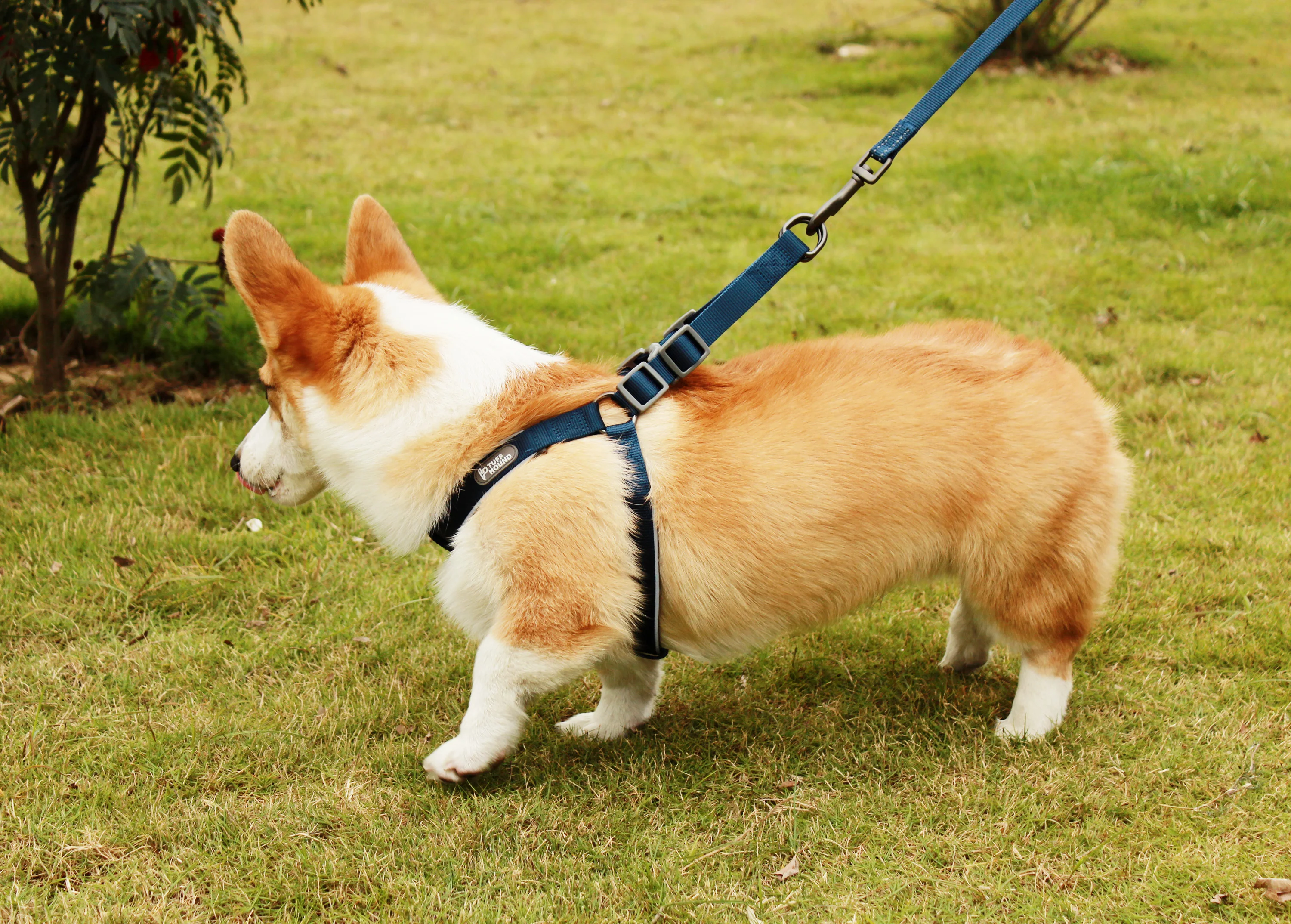 Удобная пошаговая шлейка для собак TUFF HOUND Quickfit Воздухопроницаемый Мягкий