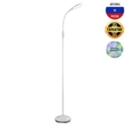 Торшер Globo 58244S