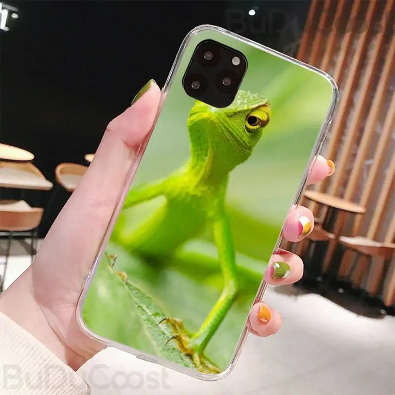 Милая Черная Силиконовая Защитная Обложка для телефона Iphone 11 Pro Max X XR XS 7 8 6 6S Plus 5 5S SE 2020.