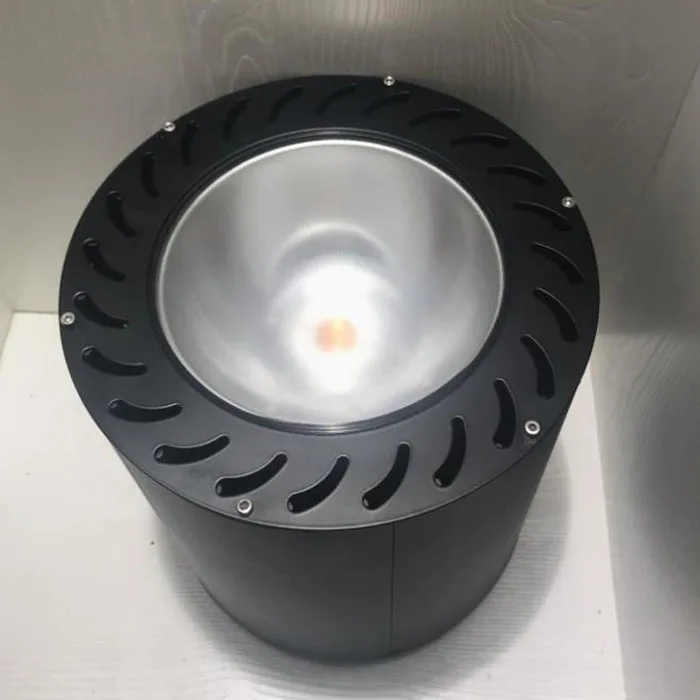 

AVT wholesale Outdoor downlight IP65 60w 80w led up and down exterior light wall mounted light