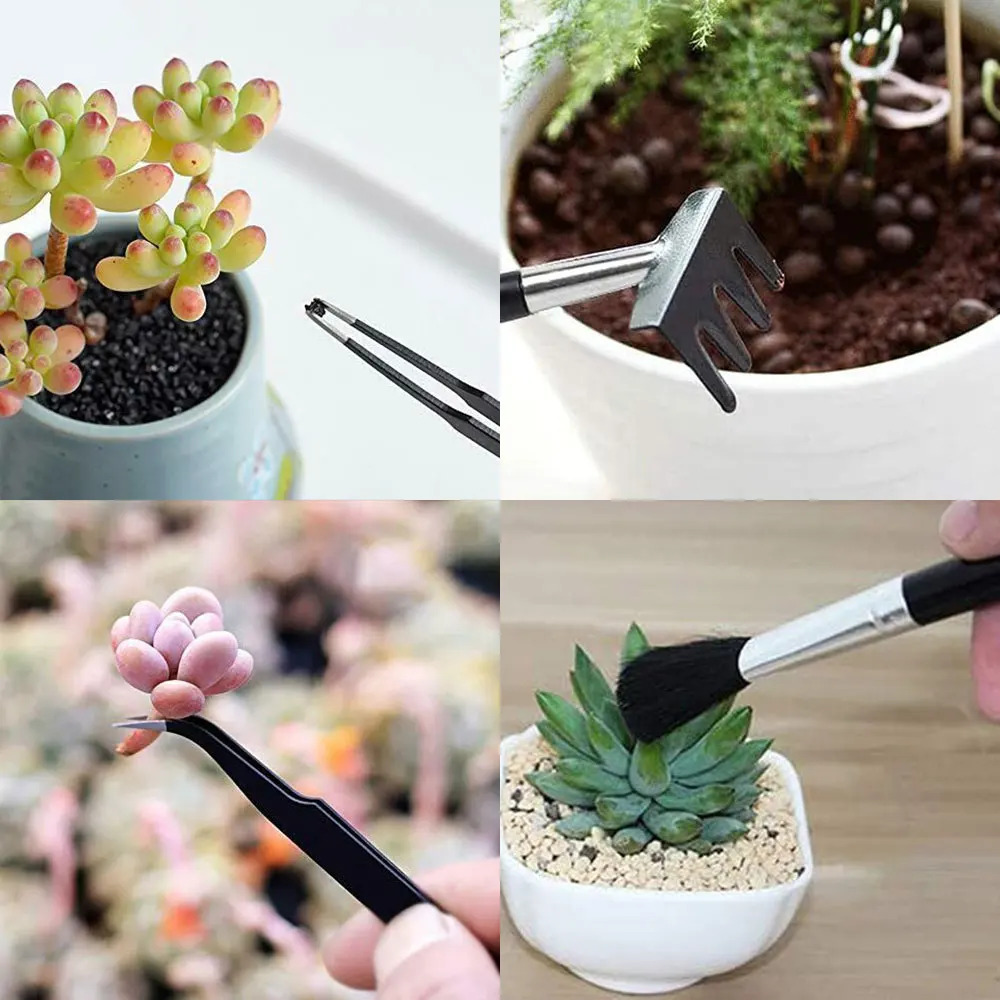 

Succulent Plants Tools Mini Garden Hand Tools Set Transplanting Tools Miniature Planting Gardening Tool Set for Indoor Miniature