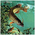 EverShine Diy алмазная живопись вышивка крестом Рыба алмазная мозаика картина из страз алмазная вышивка животные картины  домашнего декора