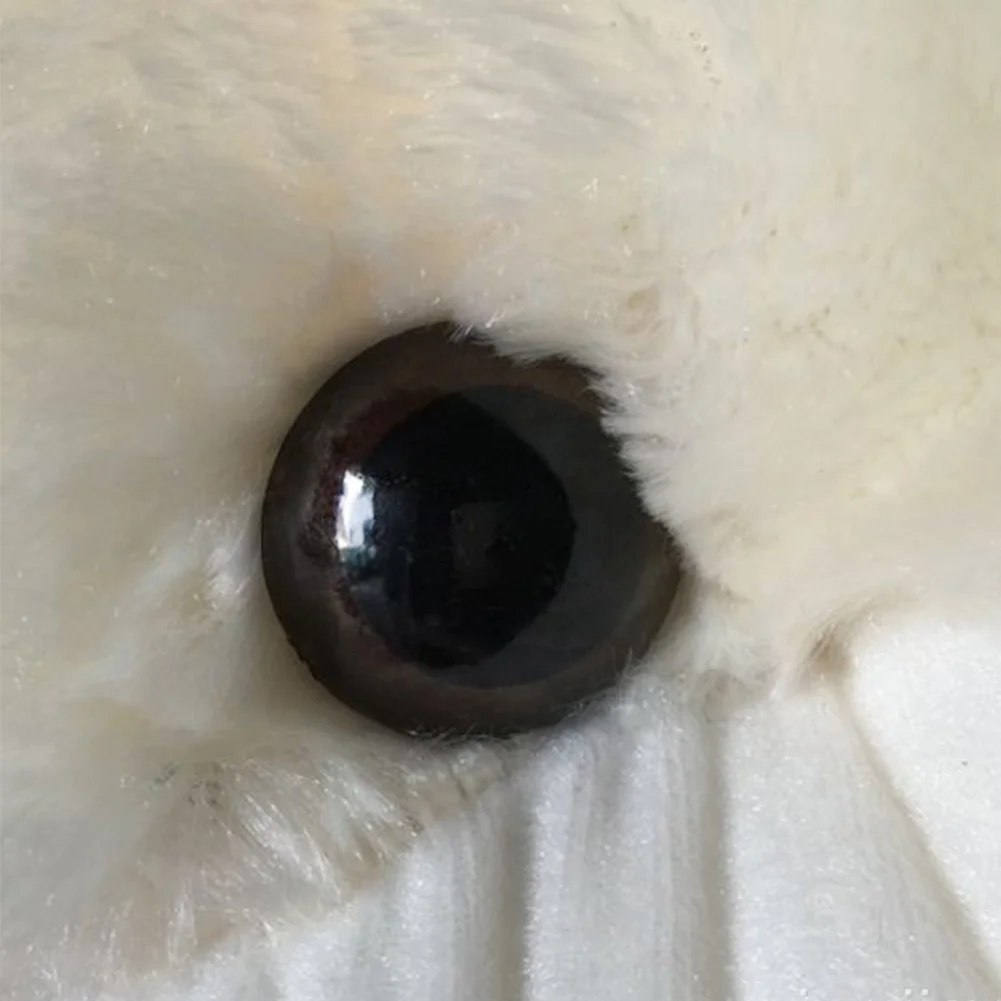 

100pcs/box Crafts Jewelry Making Plastic DIY Mini Half Round Accessories For Bear Toy 12mm Doll Eyeball