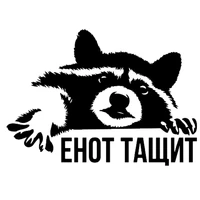 raccoon funny car sticker automobiles motorcycles exterior accessories vinyl decals for bmw audi ford20cm14cm