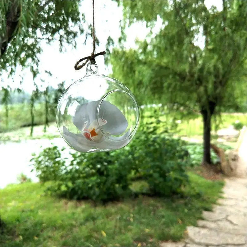 10 см подвесная стеклянная ваза для суккулентов с воздушным растением Террариум