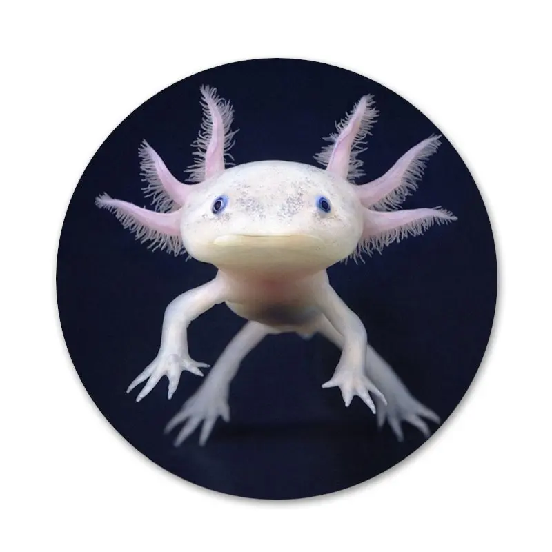 Милые значки с животными Axolotl металлические для детской лампы диаметром 58