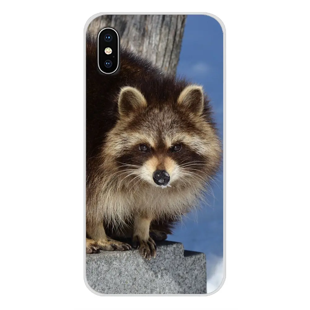 Accessories Phone Cases Covers For Xiaomi Redmi Note 3 4 5 6 7 8 Pro Mi Max Mix 2 2S Pocophone F1 Raccoon Red Panda | Мобильные