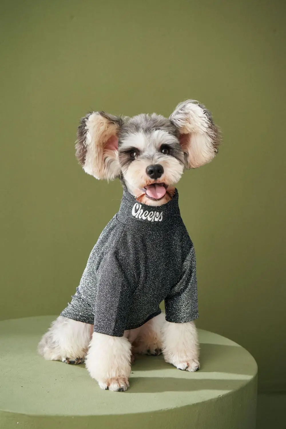 

Нижняя рубашка для собак, домашняя одежда, осенняя одежда для маленьких собак, кошек, Тедди, шнауцер, мопс, толстовки для щенков, свитер