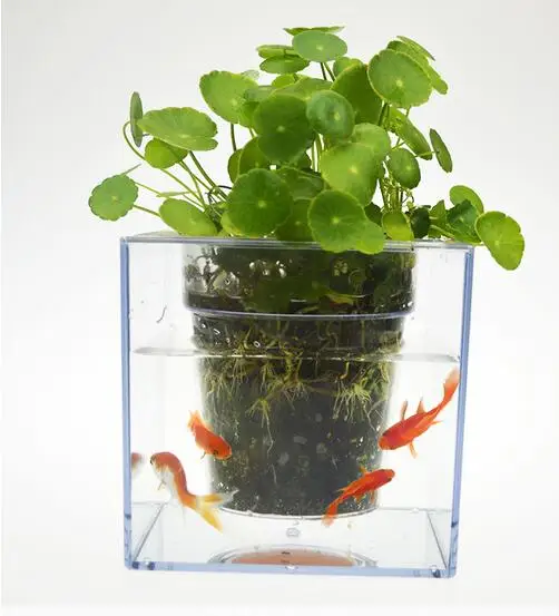 

12*12cm,Modern flowerpot resin plastic flower pots fish pot plants Desktop fish tank Transparent Fashion