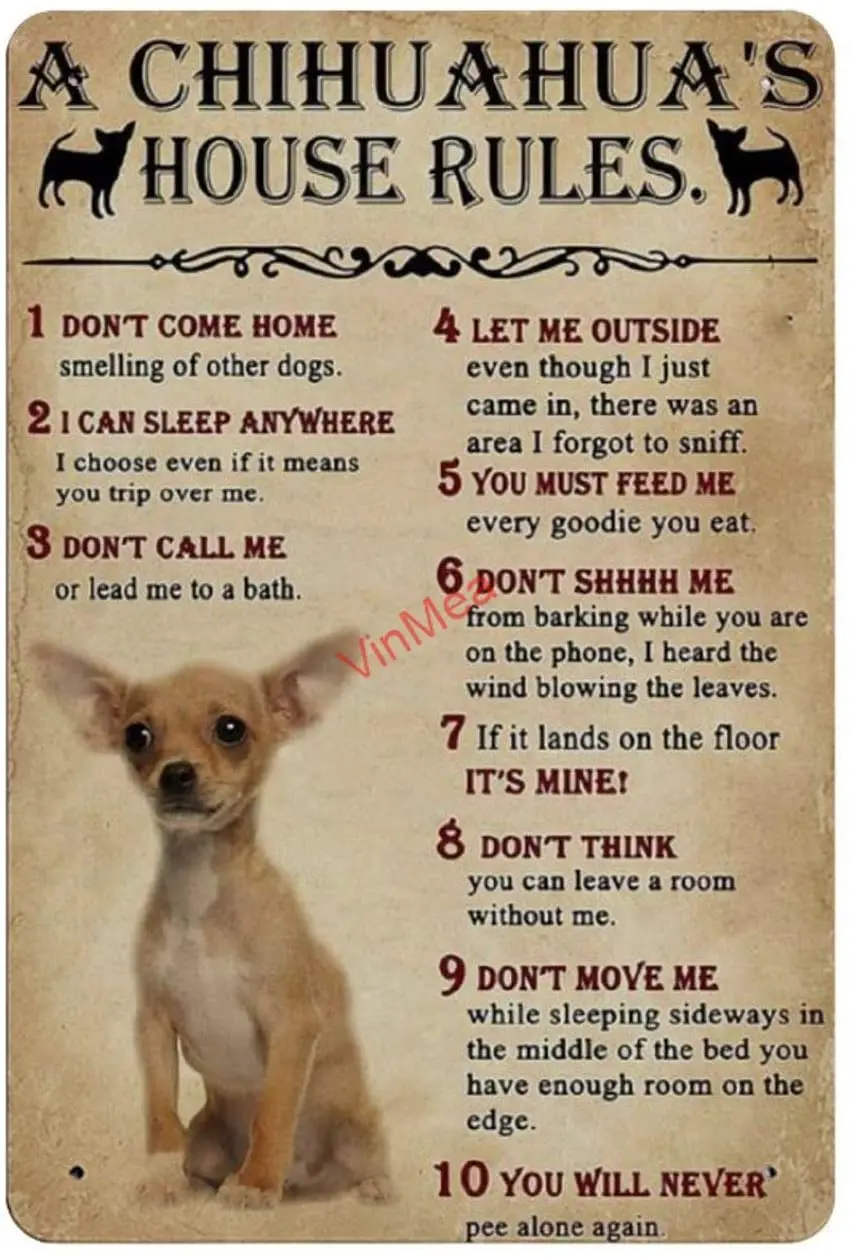 

Metal Wall Sign Chihuahua House Rules Home Living Room Bedroom Retro Art Room Decoration Vintage Metal Sign 8X12 Inch