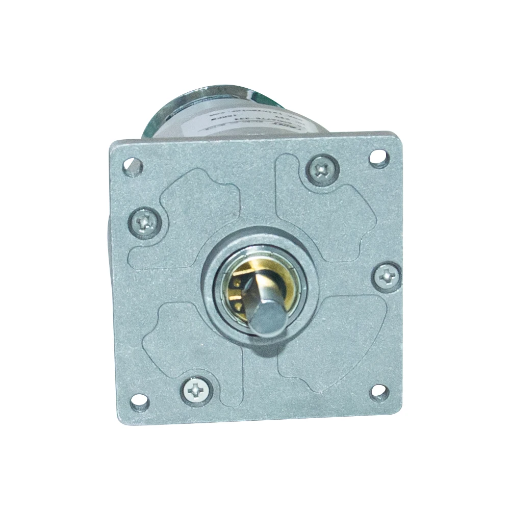 

60GA775 Micro Brushless DC Deceleration Motor 12V 24V 3-300rpm DC Electric Speed Control Positive and Reverse Gear Motor