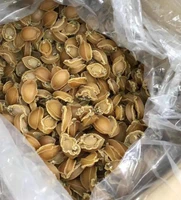 100g dried abalone fresh abalone seafood nutritious fresh live shellfish for sell
