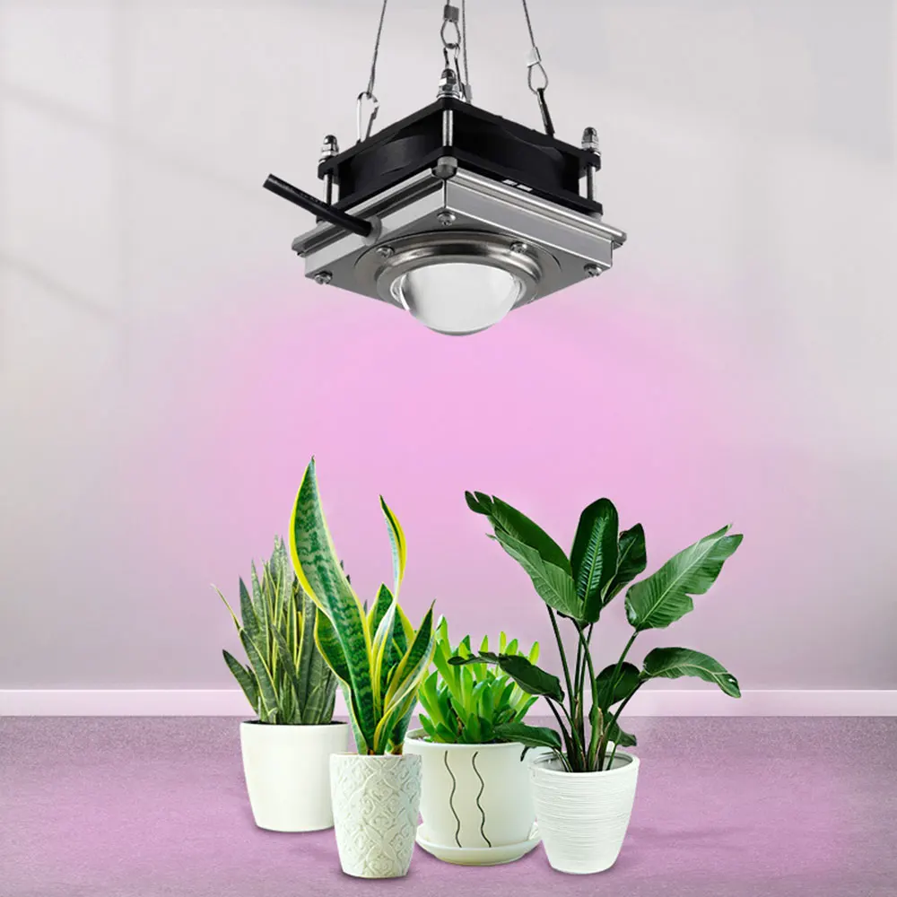 

60W COB LED Grow Light Full Spectrum Plant Phytolamp LED Lamp for Plants Aquarium Flowers Hydroponics Vegs