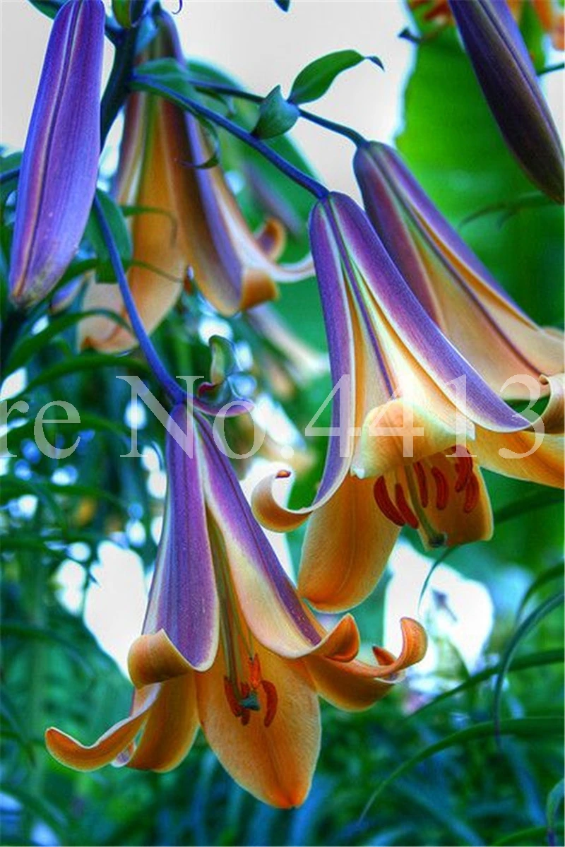 100 шт искусственный цветок |