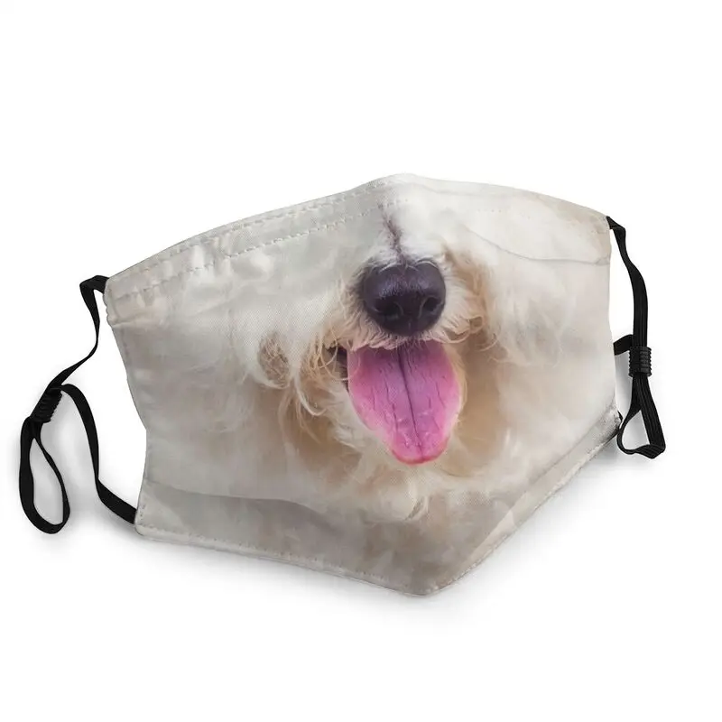 

Bichon Frise Traits Washable Mouth Face Mask Unisex Adult Puppy Pet Anti Haze Dust Mask Protection Cover Respirator Muffle