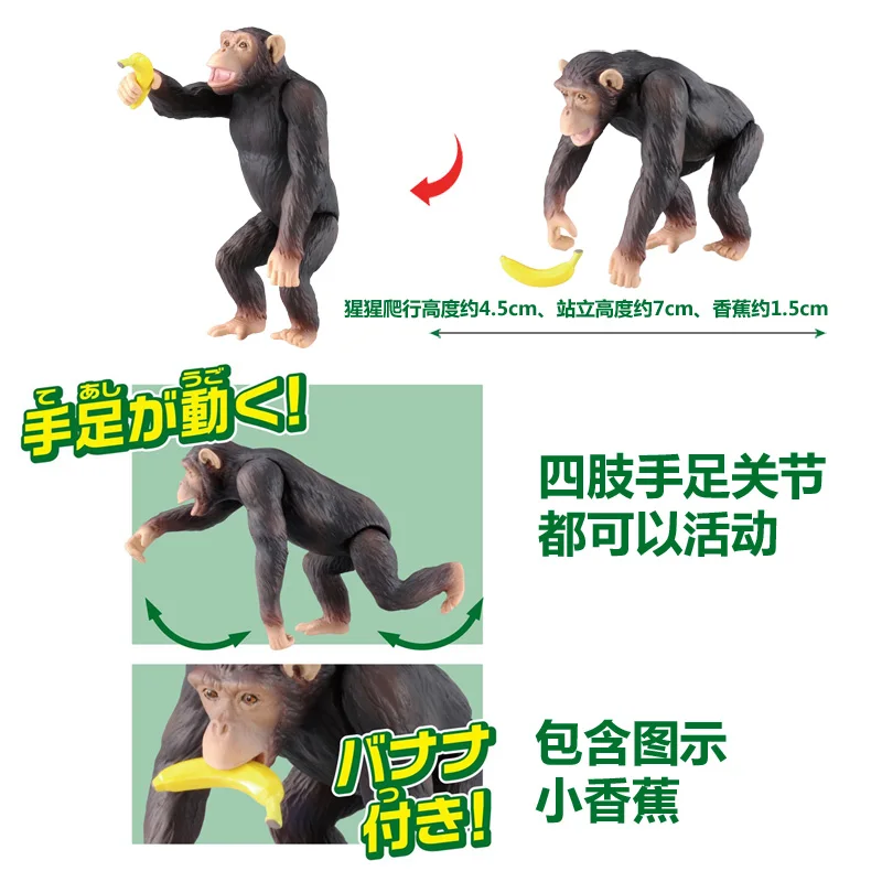 S01 Takara Tomy ANIA Animal Advanture AS-14 Chimpanzee с бананом дикие фигурки ABS детские развивающие