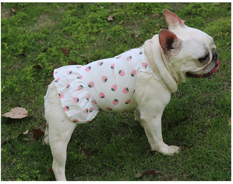 Летнее платье-слинг для собак юбка без рукавов маленьких и средних | Дом сад