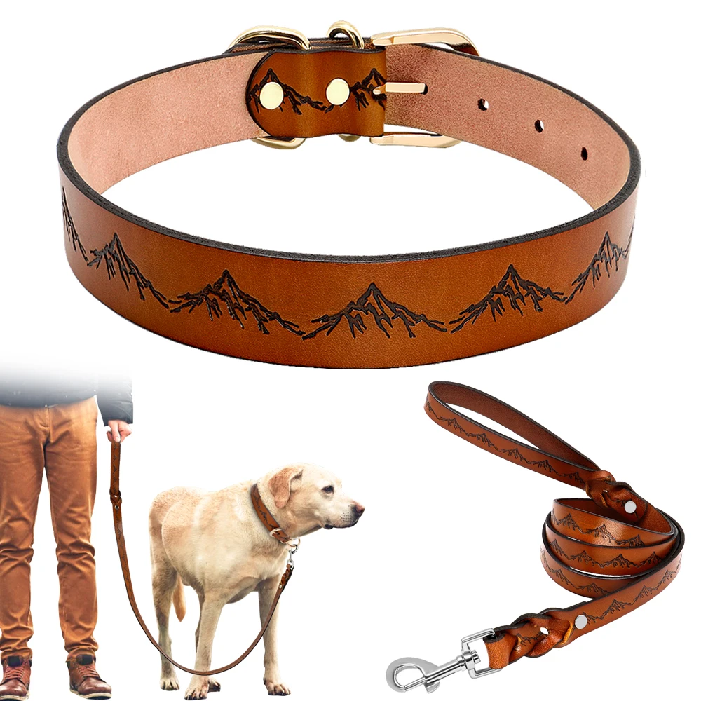 Кожаный поводок для собак комплект из ошейника натуральной кожи маленьких