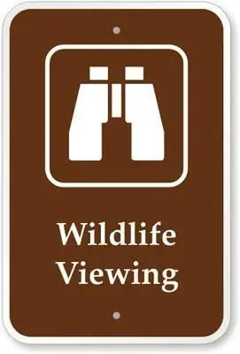 

Вывеска с изображением темных ветвей дикой природы (графическая), алюминиевый металлический знак 8X12 дюймов