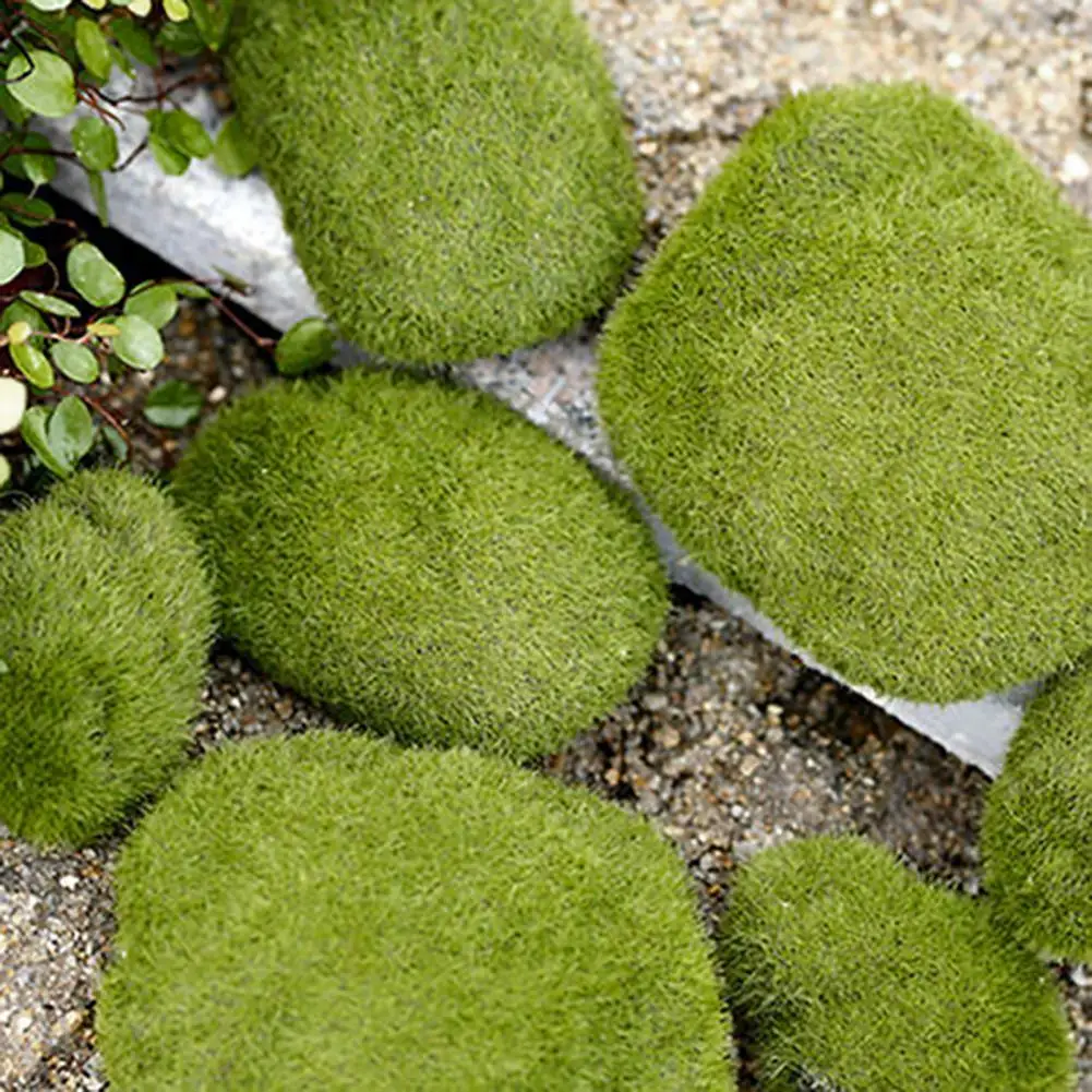

3 Sizes 1 Pack Excellent Faux Small Green Moss Rocks Eco-Friendly Moss Stones Portable Garden Decor