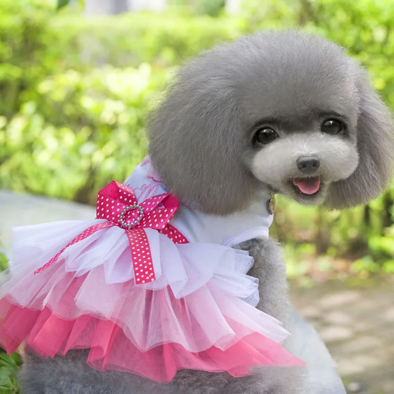 Юбка для питомца на весну/лето юбка собаки с сердечками и губами платье