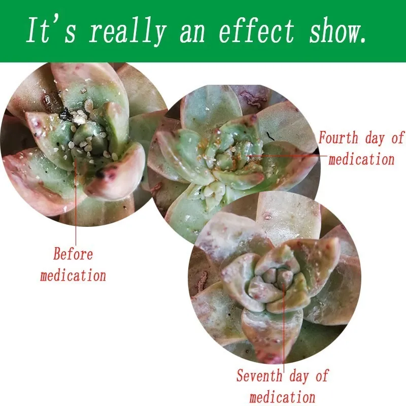 10 шт./лот эффективный химический инсектицид Антер цветы профилактика вредителей