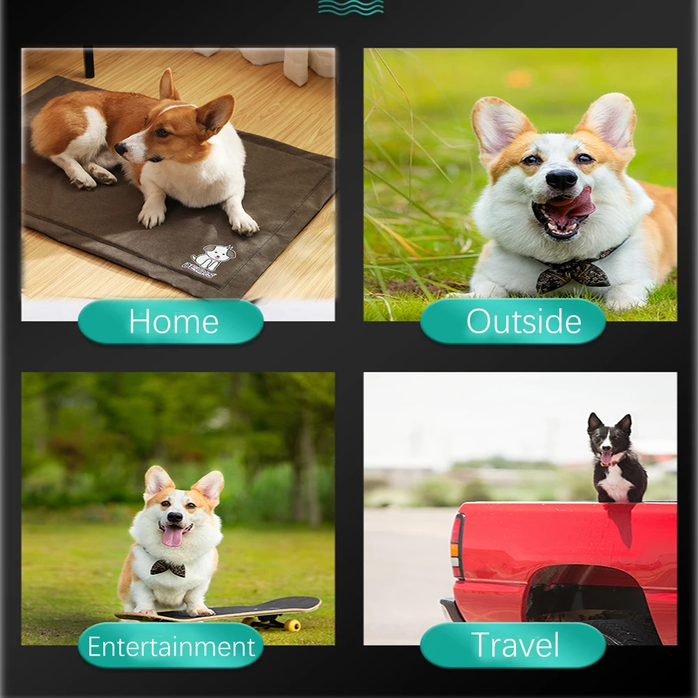 

Waterproof Pet Mat Non-Slip Dog Mats Washable Cat Bed Wear-resistant Puppy Cushion Built in Soft PBT Sponge Urine Pad 55X70CM