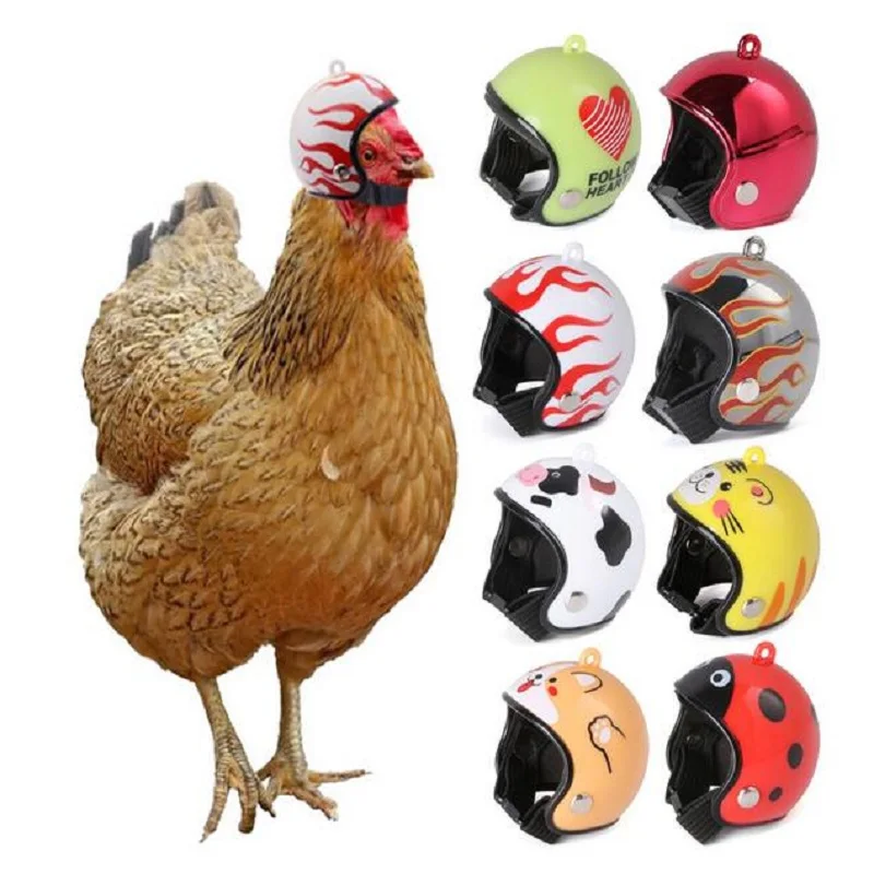 

Pet Protective Chicken Helmet Cap Funny Protection Helmet Toy Bird Chicken FarmSmall Pet Supplies Whimsy Costumes Accessories