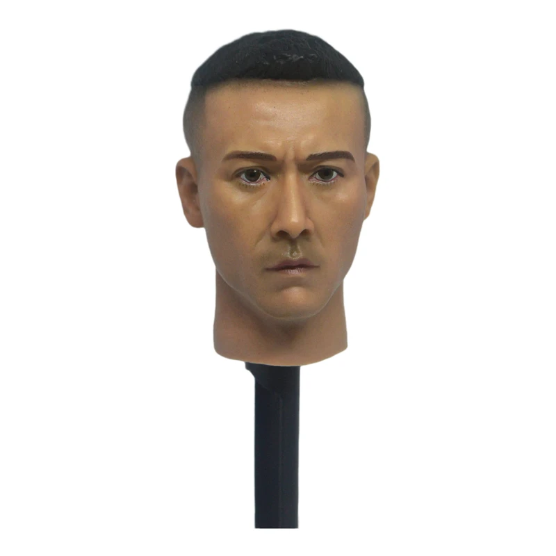 1/6 Scale Liu Ye Head Sculpt For 12&quot Hot Toys Phice Male Figure | Action Figures