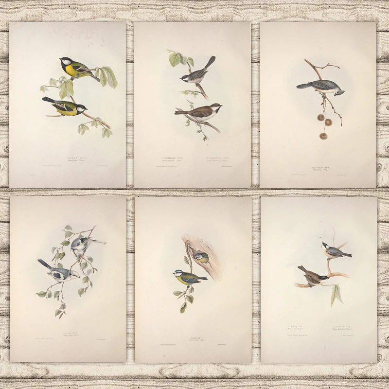 

Pictures for Home Design Vintage Poster Retro Wall Art Living Room Decoration Minimalist Animal Birds Canvas Printing Noframe