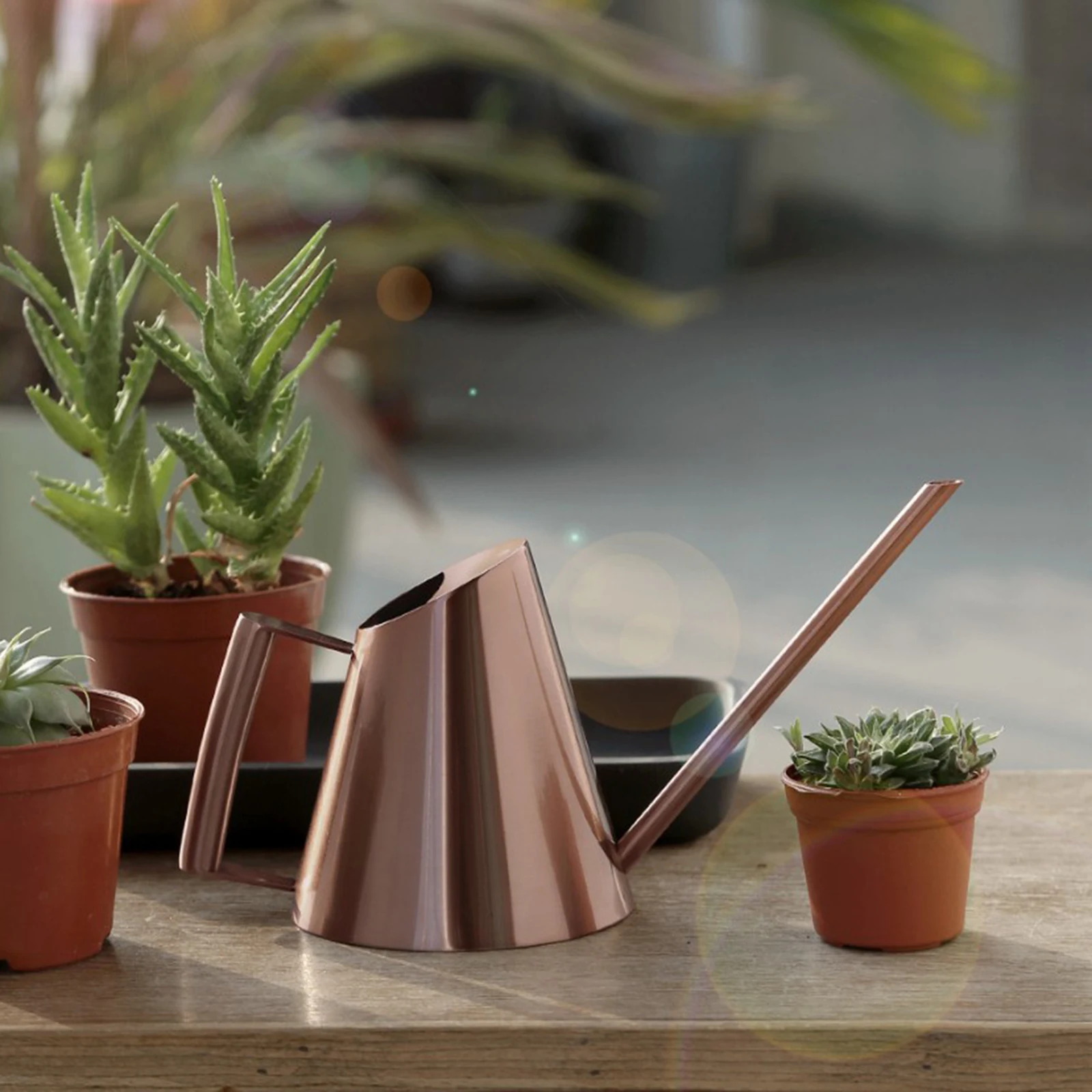 

1pc Retro Stainless Watering Can Pot Long Spout for Desk Plants Flower
