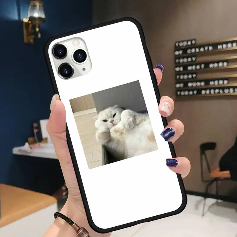 

cat cute animal Phone Case for iPhone 11 12 pro XS MAX 8 7 6 6S Plus X 5S SE 2020 XR Soft silicone