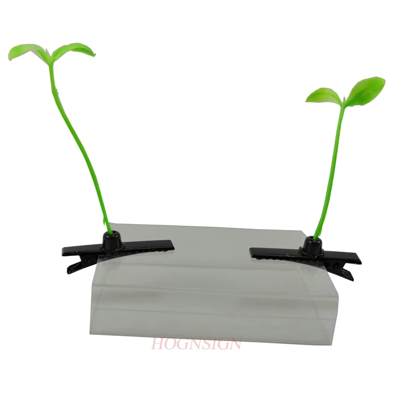 2 шт. ростки фасоли заколка для волос растения шоу МОС артефакт небольшой Miaofa