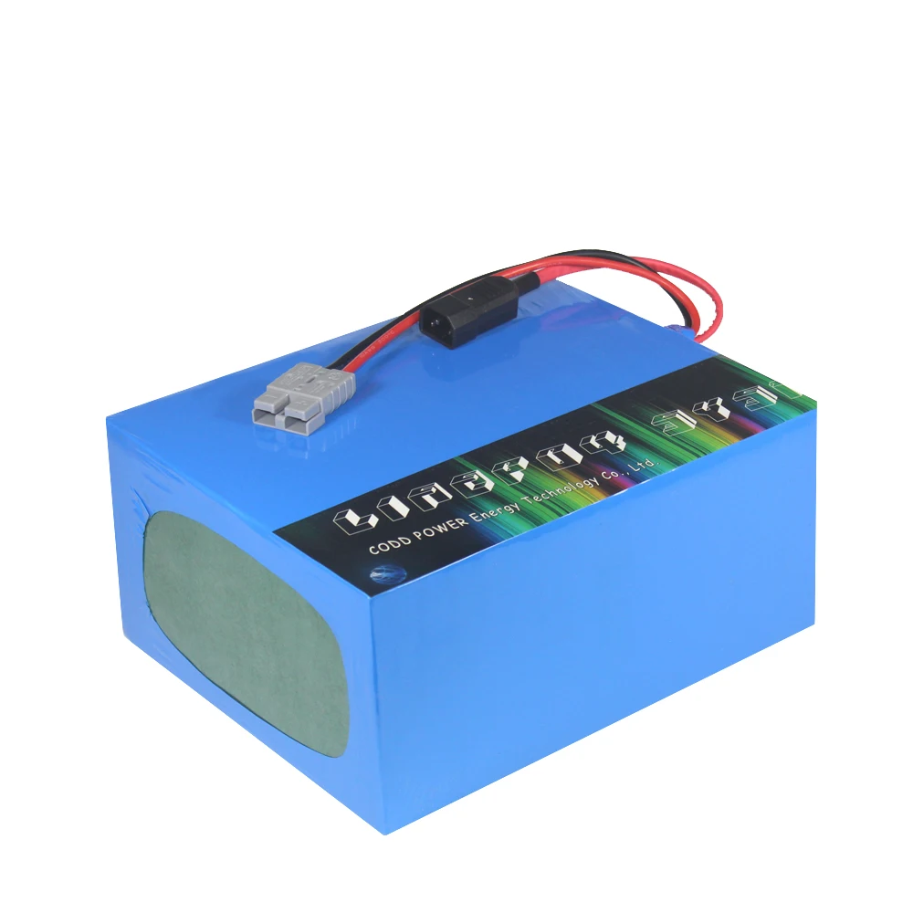 Литий ионный аккумулятор для электровелосипеда мотоцикла скутера 48 В 3000 Ач 5000