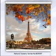 3d роликовые шторы занавески для гостиной дома затемняющие снега|Занавески| |