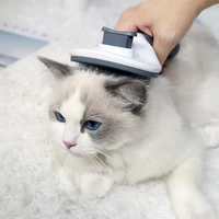 portable dog comb hair cat brush grooming tool remove hair kitten cleaning pet brushes fur cleaning massage combs puppy products