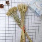 Натуральные пушистые искусственные растения, букет из сушеных цветов, украшение для свадьбы, вечеринки, сада, 50 шт.лот