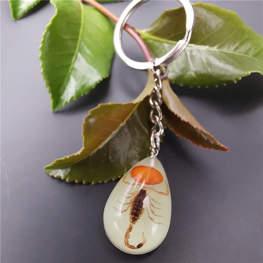 10pcs Scorpion Crab Keychain Glow in the Dark Real Insect Keychain Beetle Keychains for MenKey Ring Specimens Collecting Trinket - Цвет: 16-1YK