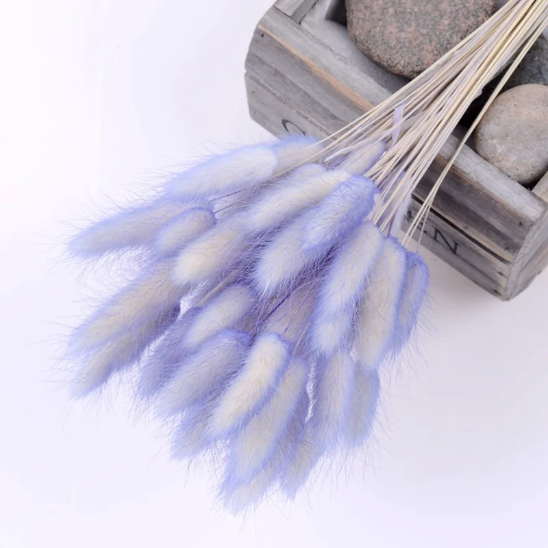 Purple white 30 шт./лот, градиентный букет из натуральных сушеных цветов с изображением лагуруса оватуса, свадебные украшения для дома, Кролик хвост, трава, настоящие цветы - Цвет: Purple white