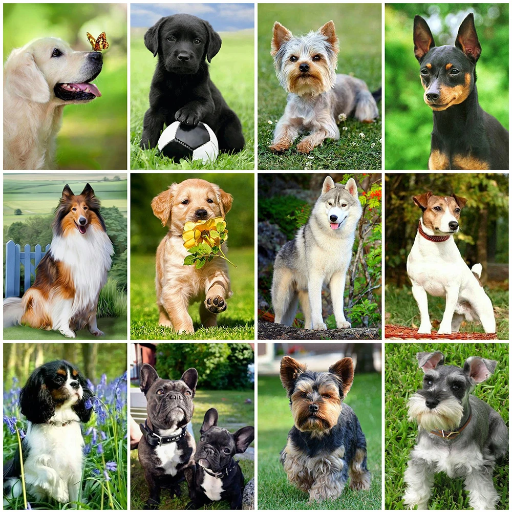 

MomoArt Diamond Painting Dog Rhinestone Picture 5D DIY Diamond Embroidery Animal Diamond Mosaic Spring Home Decor Gift