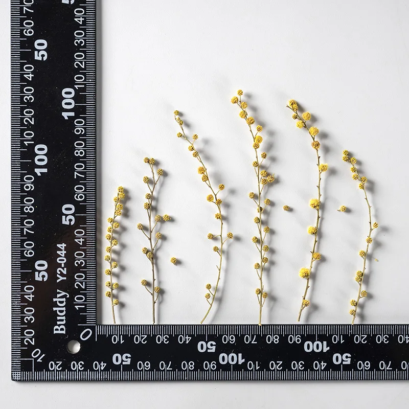 

120pcs Pressed Dried Natural Yellow Flower Herbarium For Epoxy Jewelry Bookmark Phone Case Makeup Nail Art Craft DIY