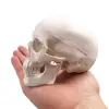 Изображение товара 5