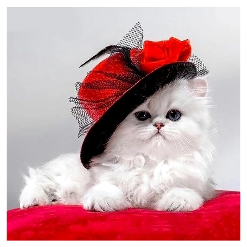 

Алмазная 5D Вышивка «Кот в красной шляпе», картина из круглых страз своими руками, вышивка крестиком, мозаика, домашний декор, подарок YC380