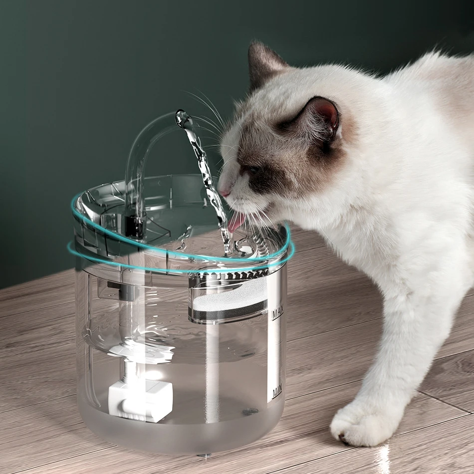 

2L Automatic Pet Dog Cat Water Drinker Fountain Circulating Filtration with Faucet Dispenser Transparent Filter Sensor Feeder